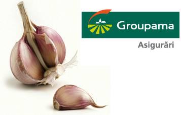 Sănătatea contează!